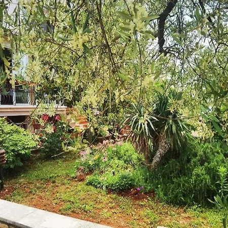 Gemuetliches Kleines Haus Mit Klimaanlage, Wifi Und Entspannender Terrasse