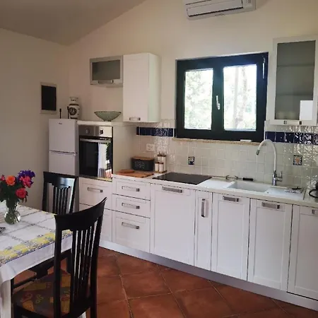 Gemuetliches Kleines Haus Mit Klimaanlage, Wifi Und Entspannender Terrasse Buzinija